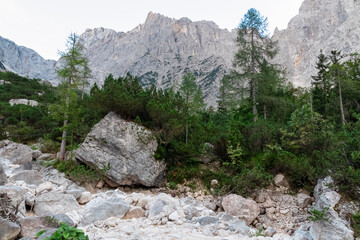 Hiking trail along dry riverbed winding through lush forest with scenic view of rugged majestic...