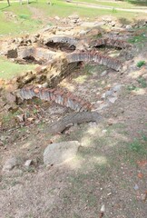 stream in the forest