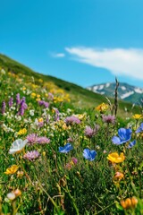 Obraz premium A field of flowers with a blue flower in the middle. The sky is blue and the sun is shining