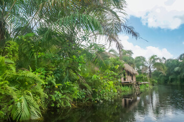 Obraz premium Beautiful view of the Black River