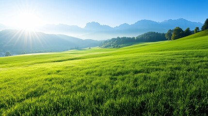 Obraz premium Sunlit Green Field with Mountains and Blue Sky