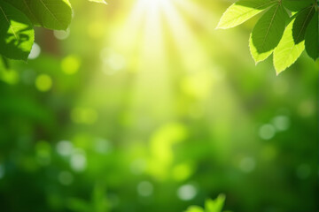 Obraz premium A nature-inspired wellness background with calming greenery, soft sunlight filtering through leaves, and a tranquil yoga setting..