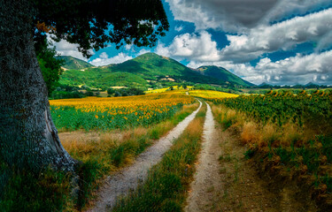 Fototapety na wymiar - Fototapeta24.pl