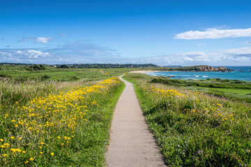 Obraz premium Tranquil coastal pathway a serene beach viewpoint for nature photography and ultimate relaxation