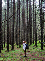 Obraz premium The woman stands among tall, dry fir trees and looks at nature. Woman with backpack on her back hiking in the mountains. Woman admiring nature.