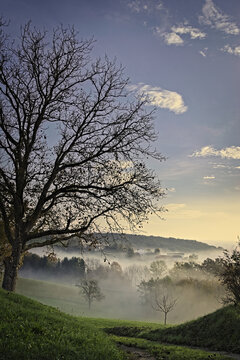 Misty Morning 2