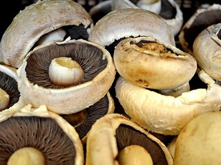 Close-up of fresh brown mushrooms