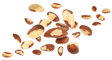 Obraz premium Many Brazil nuts in air on white background