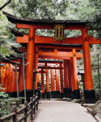 Fototapeta premium Fushimi Inari Taisha Shrine, Fushimi-ku, Kyoto Prefecture, Kansai region, Kyoto, Japan, Shinto shrine, mountain way with red torii gates tunnel, wooden torii path, fox sculptures, travel to Japan