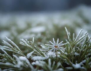 Close-Up - Macro of a Snowflake on Snowy Grass. Winter background.