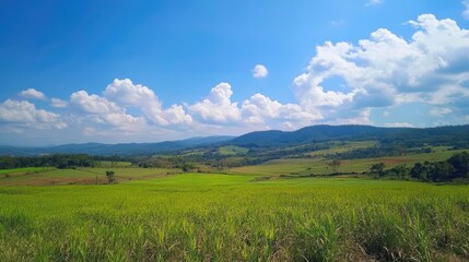 Obraz premium Vibrant pastoral landscape with lush green fields under a bright blue sky and fluffy white clouds ideal for nature and agriculture themes