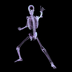 Human skeleton in a dynamic fighting pose, 3D illustration