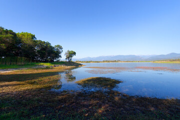 Naklejka premium Peri dam in eastern plain of Corsica island 