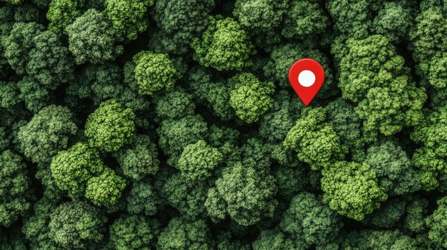 A vibrant red location pin hovers above a lush green forest landscape, illuminated by sunlight and surrounded by soft white dots
