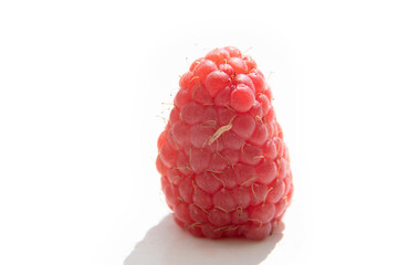 Small worm on a raspberry - super close macro - white background