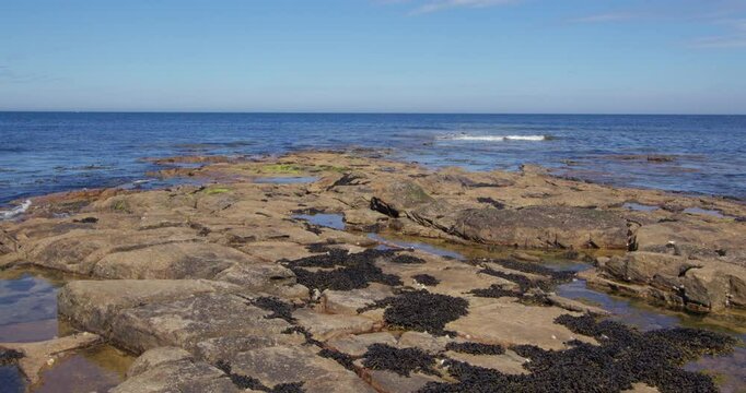 Extra Wide shot of the sea lapping over sedimentary rocks with the tide coming in at Longhoughton beach of the howdiemony sands. Alnwick.