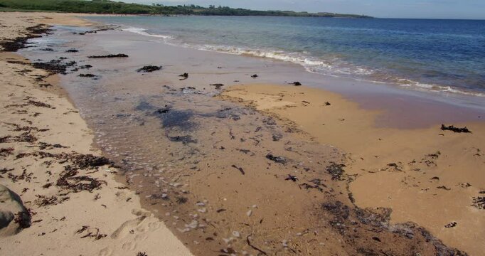 extra wide shot of the incoming high tide flowing over dry sand at Longhoughton beach of the howdiemony sands. Alnwick.
