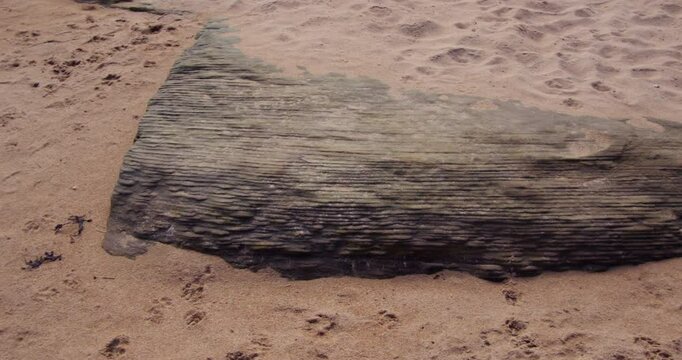 Pan across tightly packed layered sedimentary rock strata at Longhoughton beach of the howdiemony sands. Alnwick.