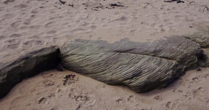 Pan across tightly packed layered sedimentary rock strata at Longhoughton beach of the howdiemony sands. Alnwick.