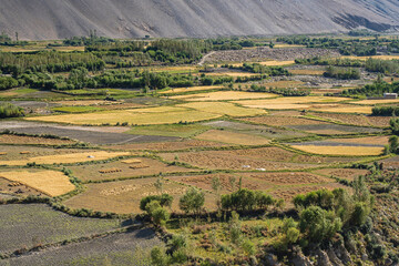 Colorful rural landscape view of fields after summer harvest on Afghanistan side of Wakhan Corridor, Ishkashim, Gorno-Badakhshan, Tajikistan Pamir