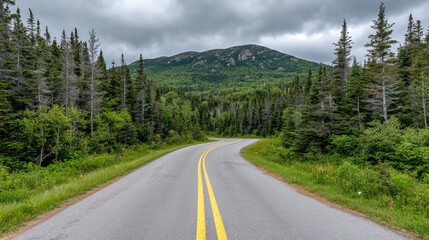 Winding road in leads toward Mount , surrounded by vibrant autumn foliage under soft dawn light