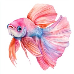 Fototapeta premium Watercolor Betta Fish Colorful Whimsical Aquatic Life Illustration