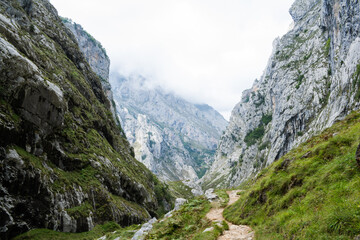 Hiking trail in the Picos de Europa. Asturias - Spain