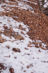 Seoraksan National Park, Sokcho, South Korea