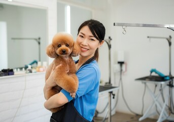 Smiling asian female groomer holding a groomed toy poodle in a pet grooming salon