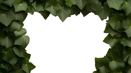 Fototapeta premium Heart shaped frame of green ivy leaves isolated on transparent background, cutout