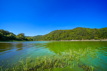 View of the Edersee and the surrounding nature at the lake. Landscape in the Edertal near Harbshausen.

