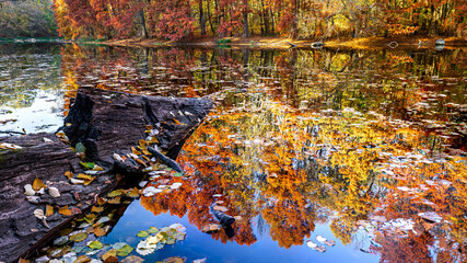 Autumn colors reflected in the lake.