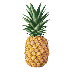 Fototapeta premium pineapple