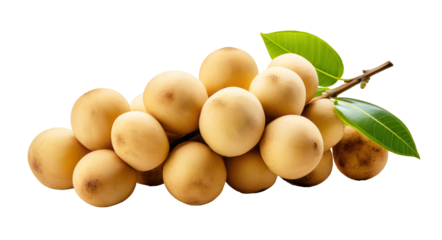 Longkong isolated on transparent background. PNG