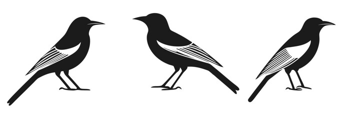 Fototapeta premium Stylized black birds with white wings, three different poses, minimalist design, vector art, vector illustration, isolated, flat