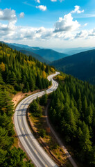 Winding road through a lush forest: Aerial view of a scenic route encapsulating the essence of exploration and the beauty of nature -, Dynamic motion, with white tones