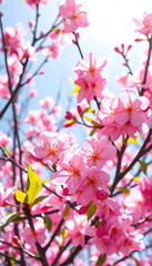 Obraz premium The vibrant beauty of spring blossoms, capturing the bright and fresh essence of nature in full bloom, pop-art, with white tones