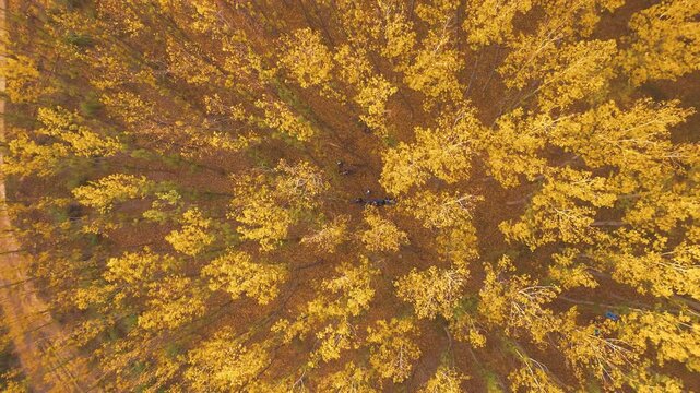 Aerial view of the Camarillas reservoir in Hell&iacute;n, province of Albacete, Spain
