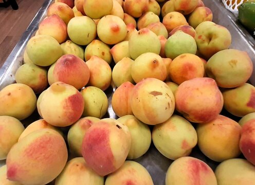 P&ecirc;ssego - O pessegueiro &eacute; uma &aacute;rvore dec&iacute;dua, nativa da China e sul da &Aacute;sia, de folhas alternas e serreadas, flores roxas e drupas pubescentes, comest&iacute;veis e com propriedades aperitivas e digestivas.