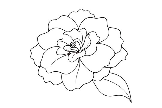 recommend clip art: Elegant Begonia Line Art Vector | Minimalist Line Drawing Design