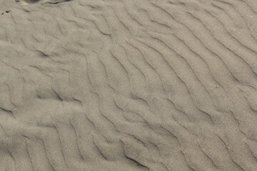 Fototapeta premium Image of Busan Dadaepo Beach sand transformed into beautiful shapes by the wind 