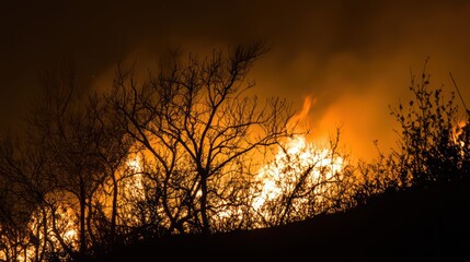 Naklejka premium Intense Wildfire Burning Through Forest at Night with Flames