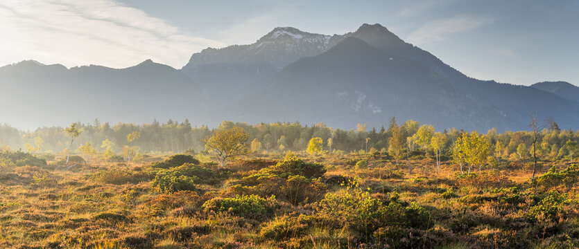 Kendlm&uuml;hlfilzen Moor, Grassau, Allg&auml;u, Bayern, Deutschland