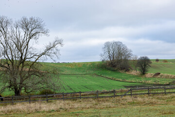 Paddock with pasture, fields with winter seedlings. Autumn