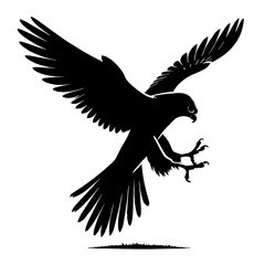 Obraz premium Black silhouette of a falcon in flight.
