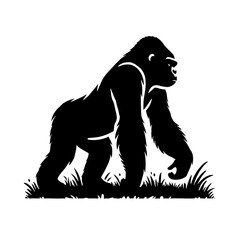 Obraz premium Silhouette of a gorilla walking in grass.