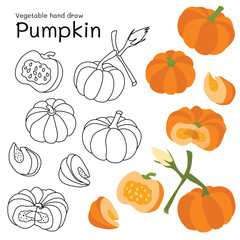 Pumpkin doodle vegetable hand drawn outline and colors for kid, Package, labels Design element. Vector illustration
