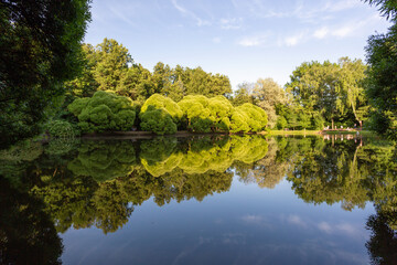 Summer day in the park, trees reflected in the surface of the pond, Naryshkinsky Pond, Fili, Moscow, Russia
