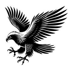Fototapeta premium Black and white eagle in flight.