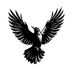 Fototapeta premium Black crow in flight, wings spread wide.